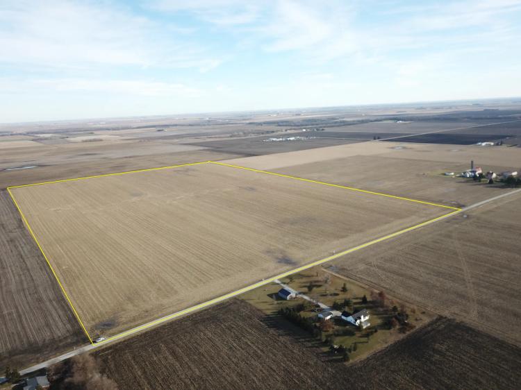 Sorbets Douglas County, Illinois Farmland Auction