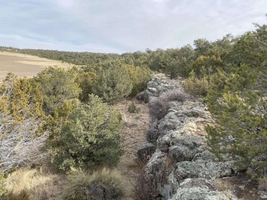 Rare! Bureau of Indian Affairs Inholding 40 acres - New Mexico