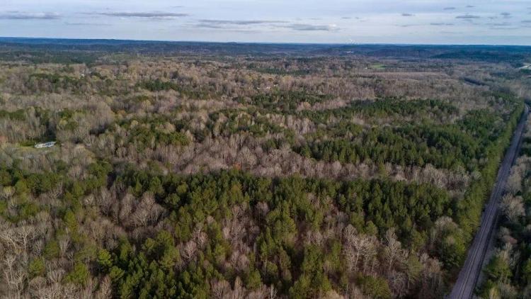 41 acres of Undeveloped timberland