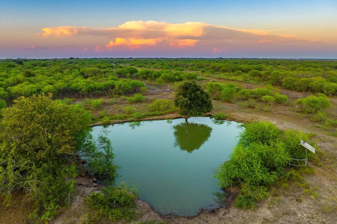 Prime South Texas Hunting | Close to Bay & Deep Sea Fishing