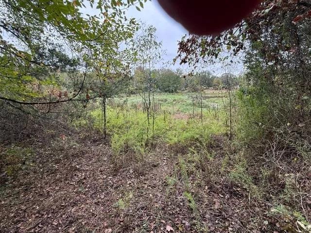 5 Ac. On Pond Near Alma - Selling at Auction Regardless of Price