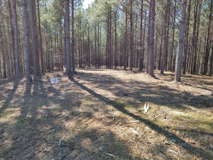 18 Acres Near Kentucky Lake