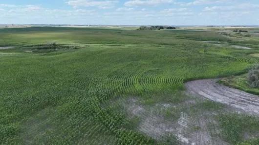 114 Ac Benson Co. Crop Land
