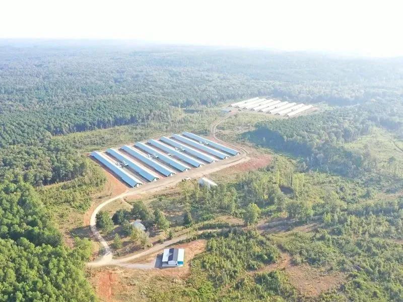 Saint Lukes Broiler Farm – 16 House Farm in Claiborne Parrish, Louisiana