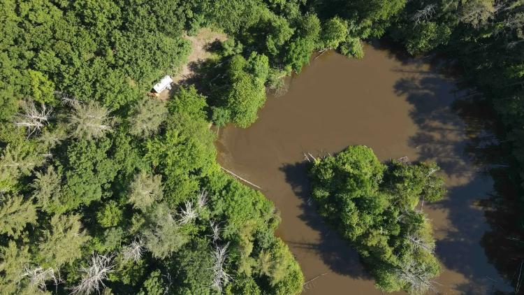 32 acres Hunting Land and Recreational Land with Ponds in Coxsackie NY Eagle Nest Rd