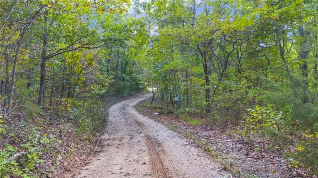 80 +/- Acres Proctor