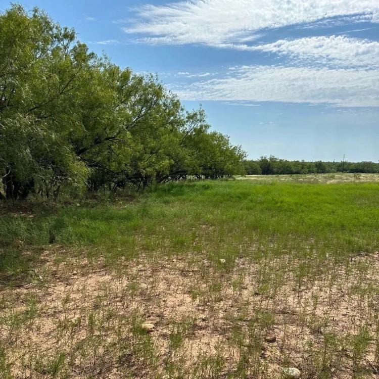 Available!! 27 Acres (Tract 23), Callahan County