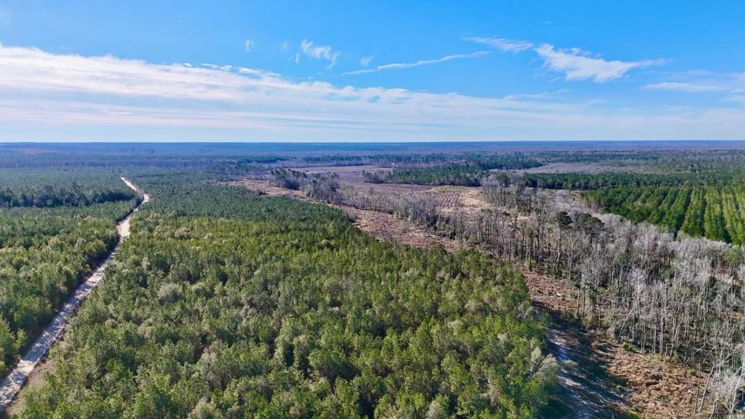 Tillman Creek Development