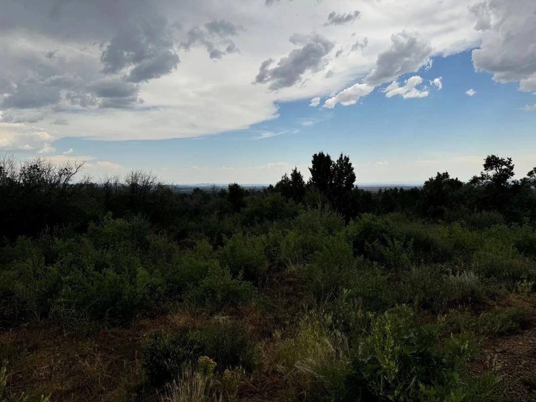 36.3 Acres of Mountain Land for Sale in Hesperus, CO