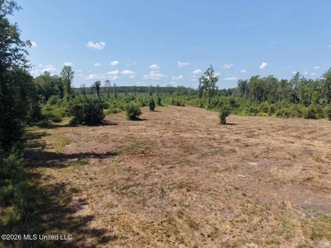 147± Acre Hunting Property in Plainview, LA