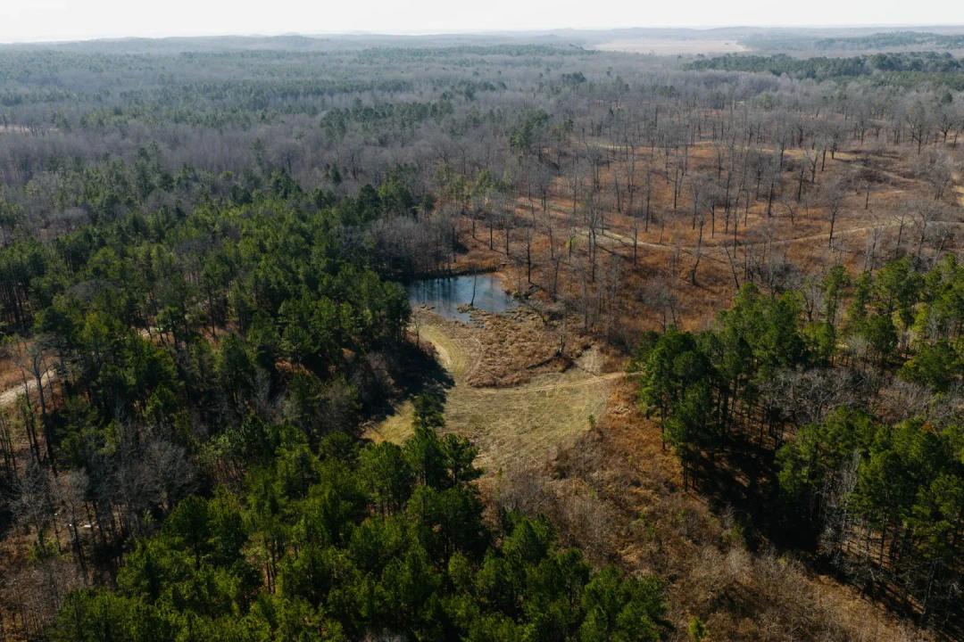 276.2 Acres in Yalobusha County, MS 