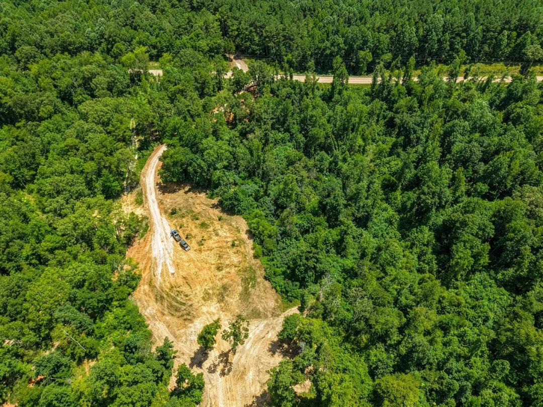210.02 Acres in Hardeman County, TN 