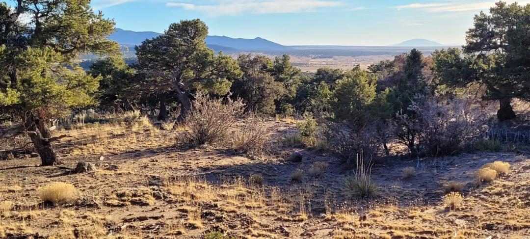 Rolling Hills east of Fort Garland Colorado