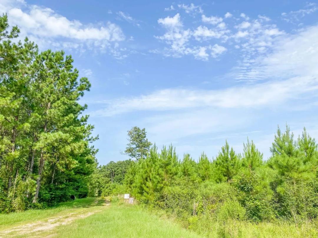 38 Acres | T-6 | Indian Springs
