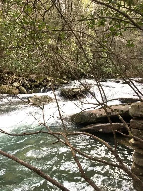 Soddy Creek Hunting Tract