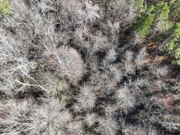 23691544-13