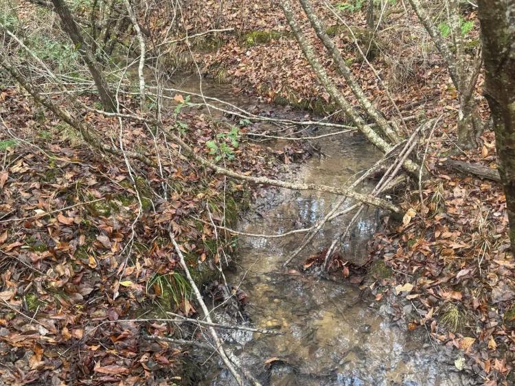 80 +/- ac Denver Rd