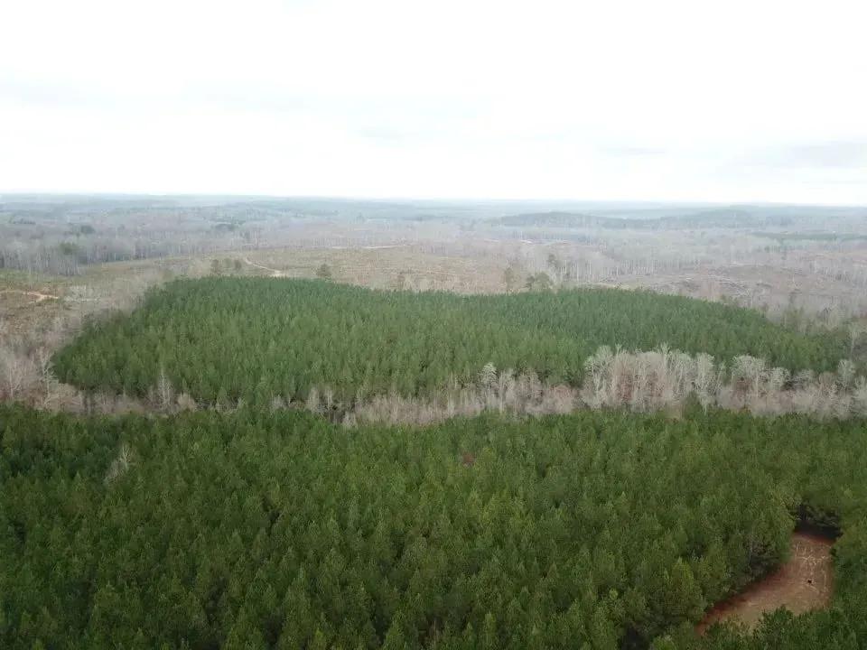 23700926-34