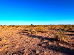 6 IMG_8143