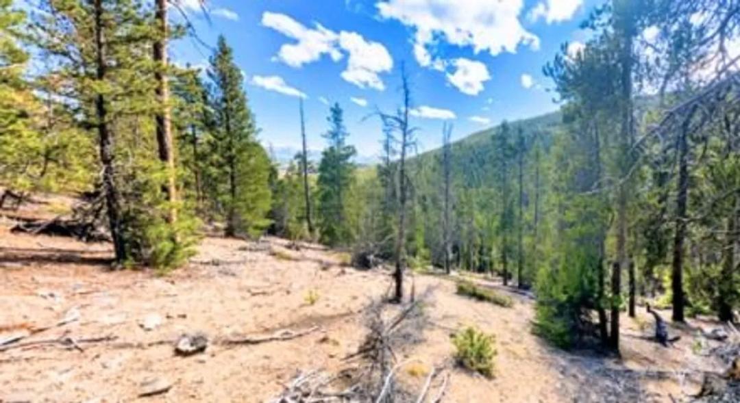 111 Kevin Gulch Rd, Leadville