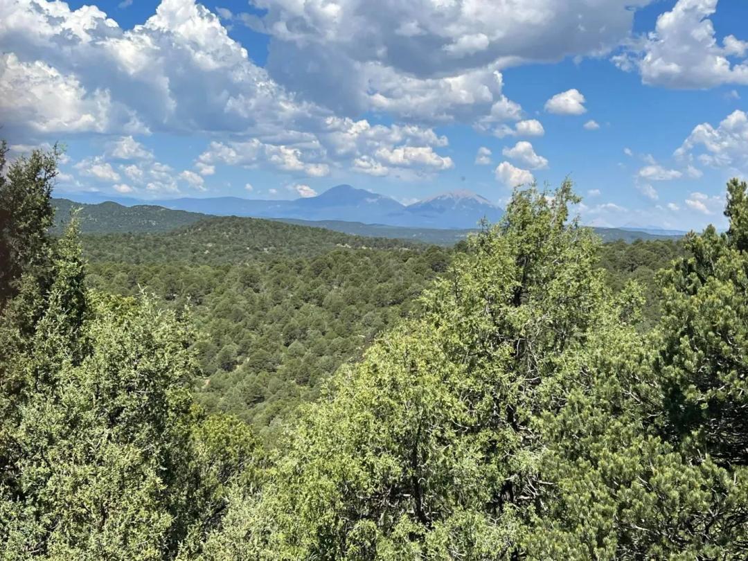 Lot 4 Peacock Rd, Trinidad, CO 81082