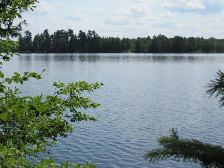 Michigan Inland Lake Properties 10072982