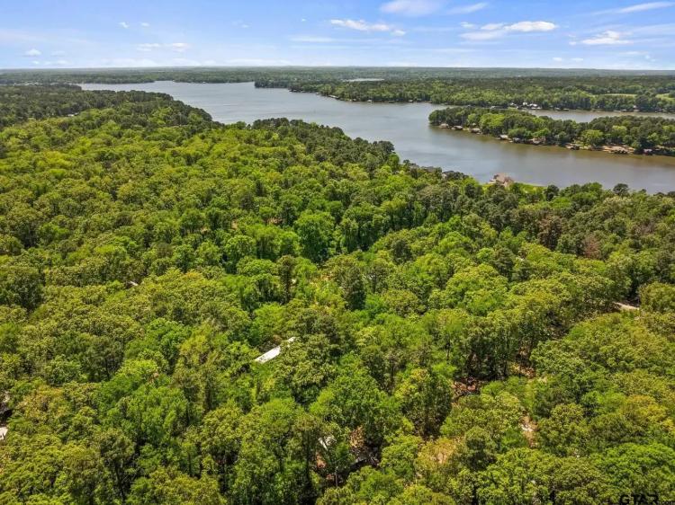 0.23 Acre Lot with Road Access Near Lake Cypress Springs in Scroggins, TX