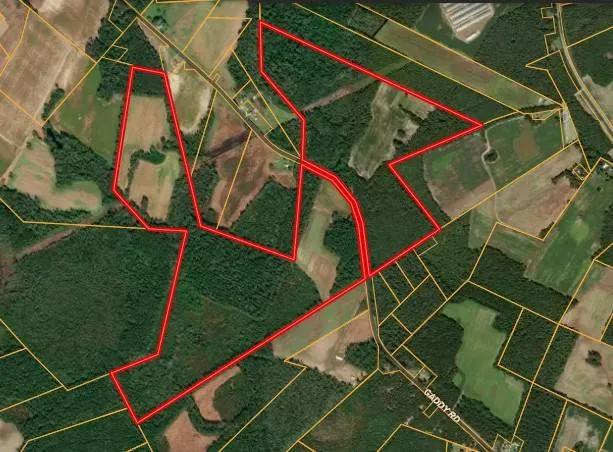 +/- 240 Acre Investment Opportunity on Gaddy Rd in Fairmont, NC