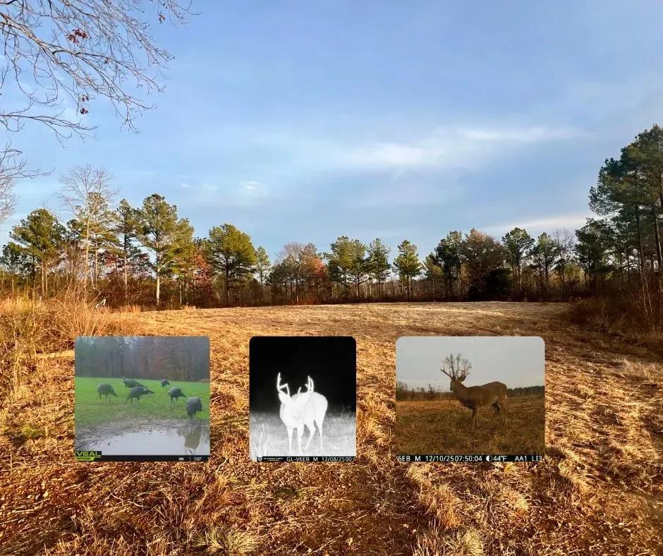 Brush Creek Hunting Camp