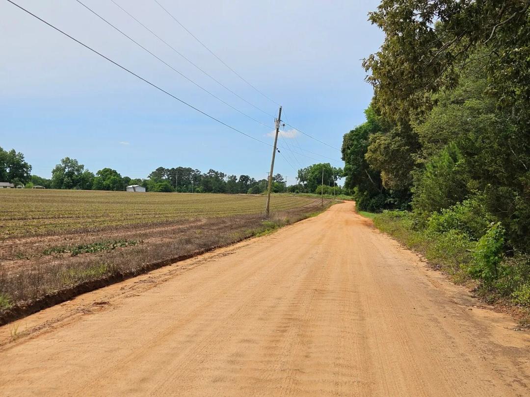 21.25 Acres at 0 Baker Whatley Road, County Road 519