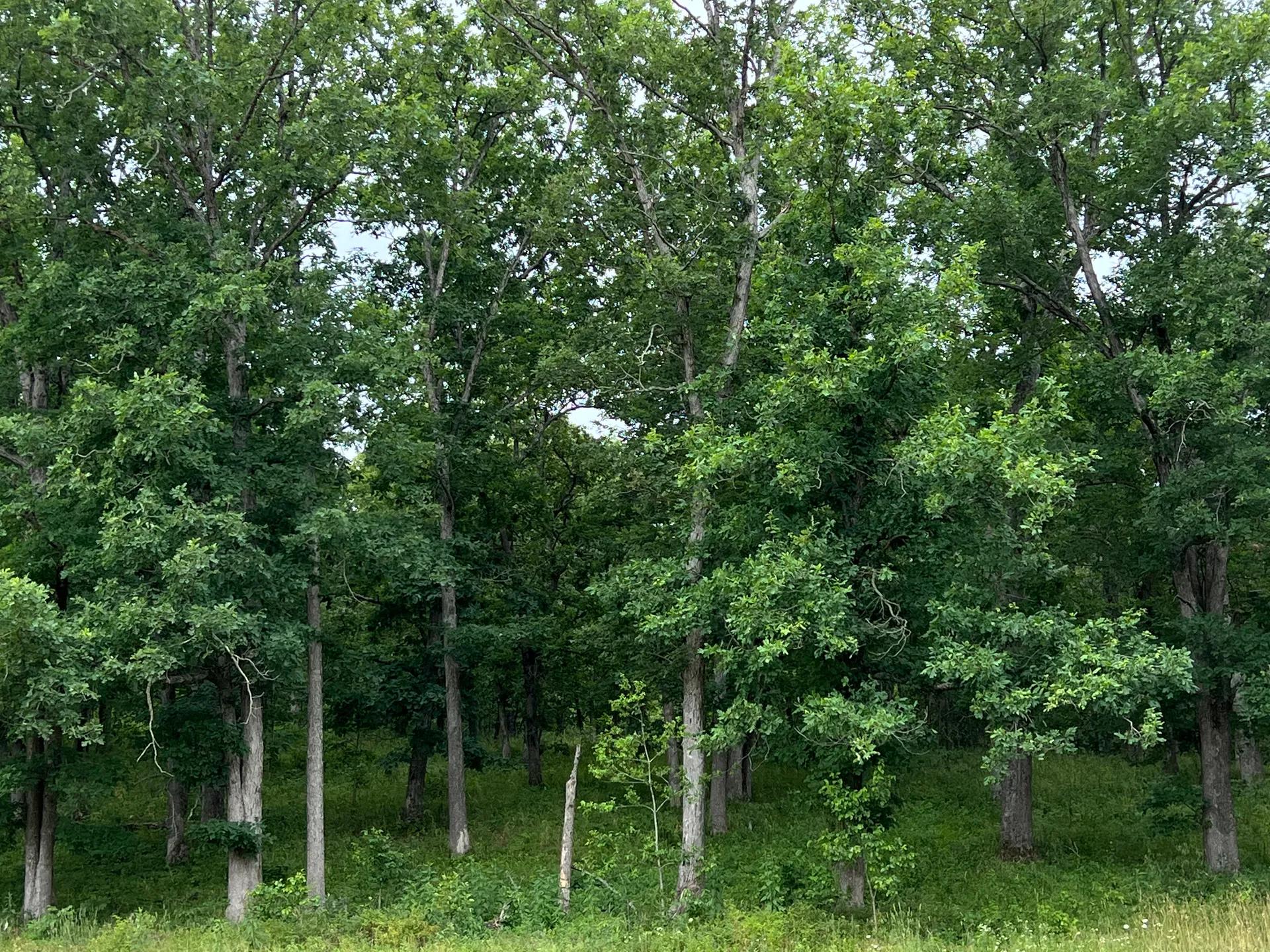 23804730-14