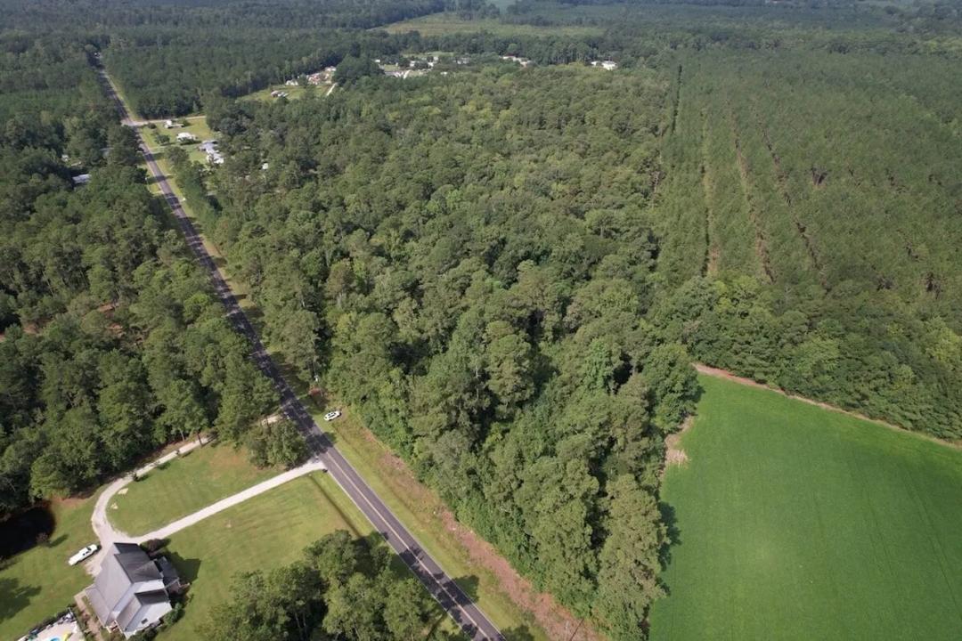 UNDER CONTRACT!!  32.22 Acres of Timber and Recreational Land For Sale in Columbus County NC!