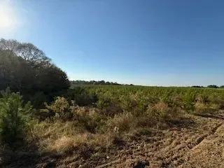 23879890-24