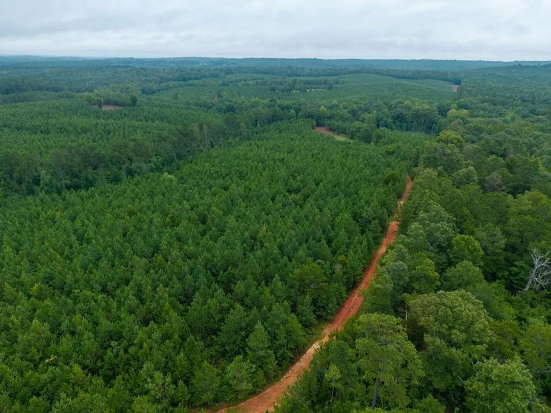Mountain Creek 3- 102 acres In Chilton County, AL