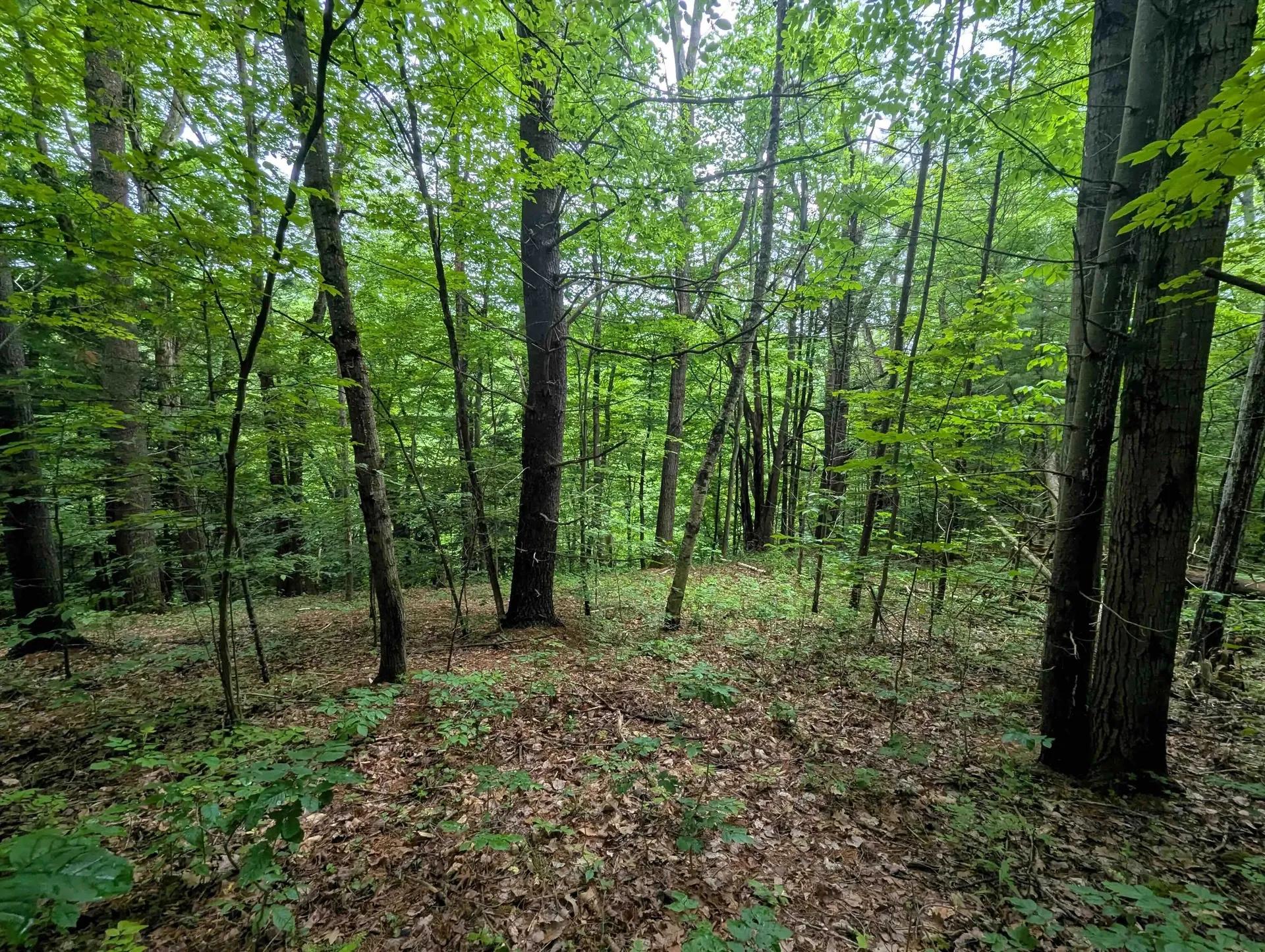 23955884-3