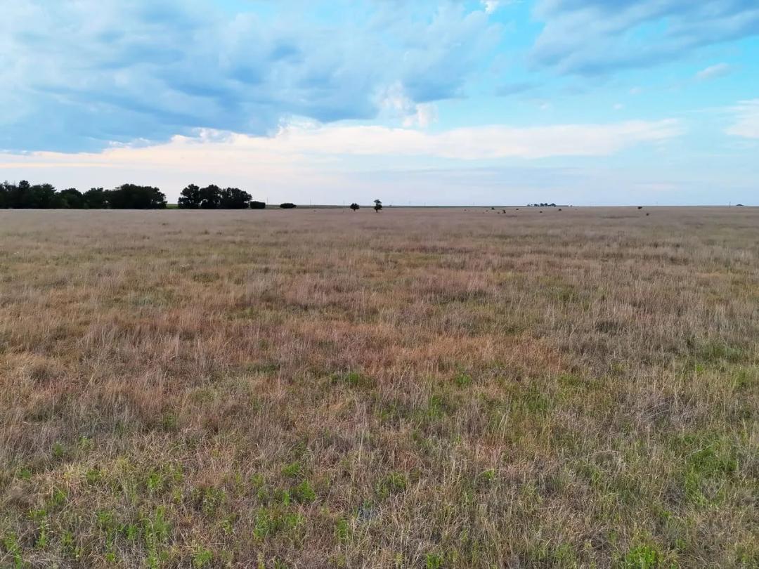 CRP Parcel with Producing Mineral Income