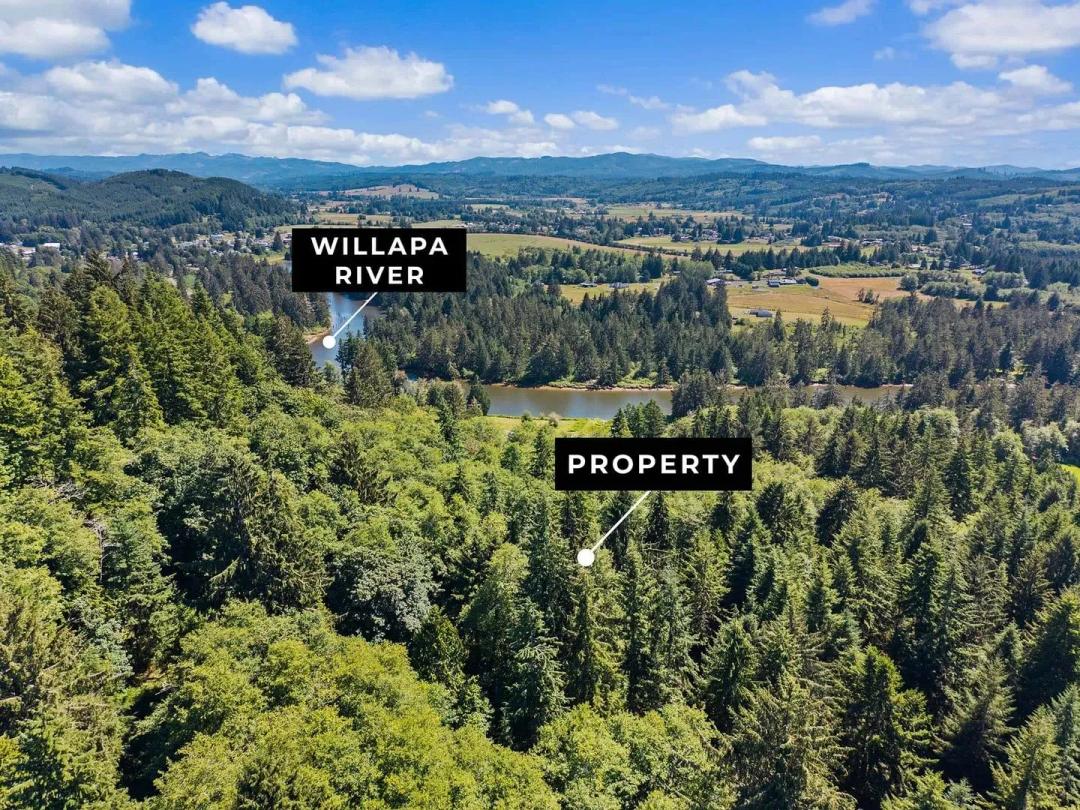 Tall Timber on Willapa Ridge
