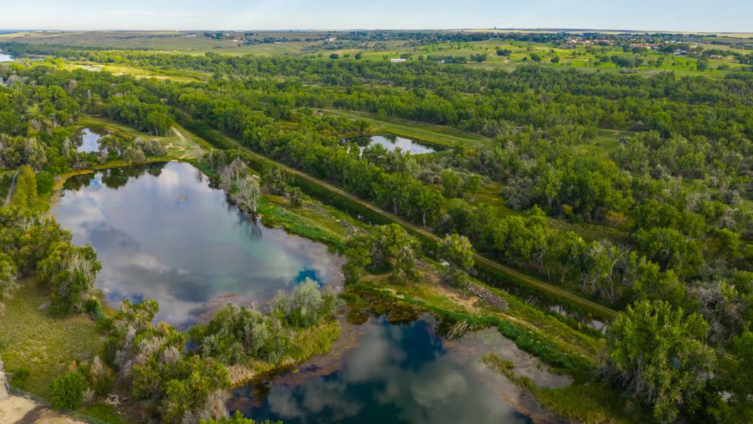 Pintail Properties