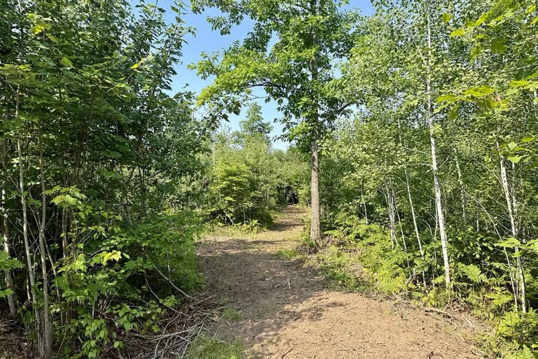 OWN 5 WOODED ACRES NEAR DANBURY FOR ONLY $45,900