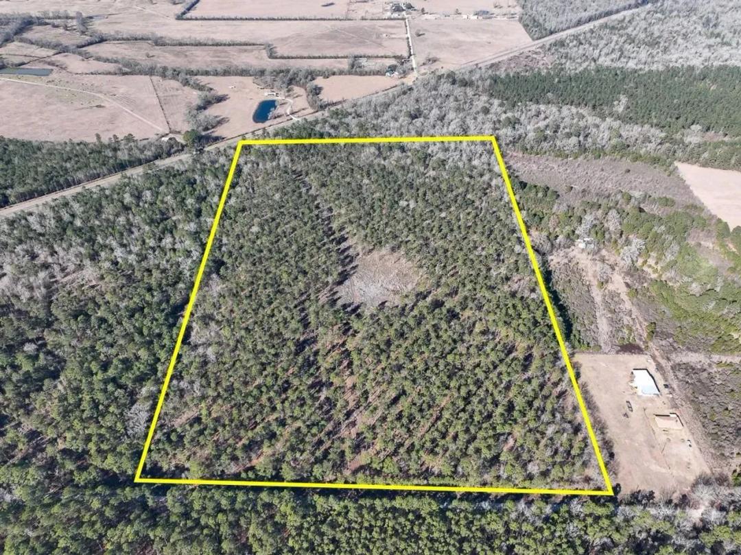 49 Acres | T-5 | Louisville Road | 1049