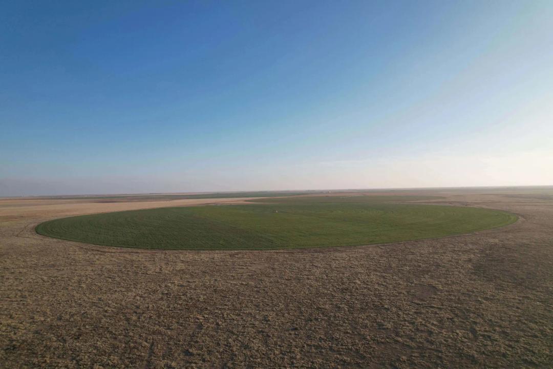 317 +/- Acre Irrigated Farm in Sherman County