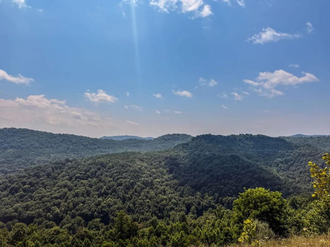 1,145.77+/- Acres with Mineral Rights Near Charleston