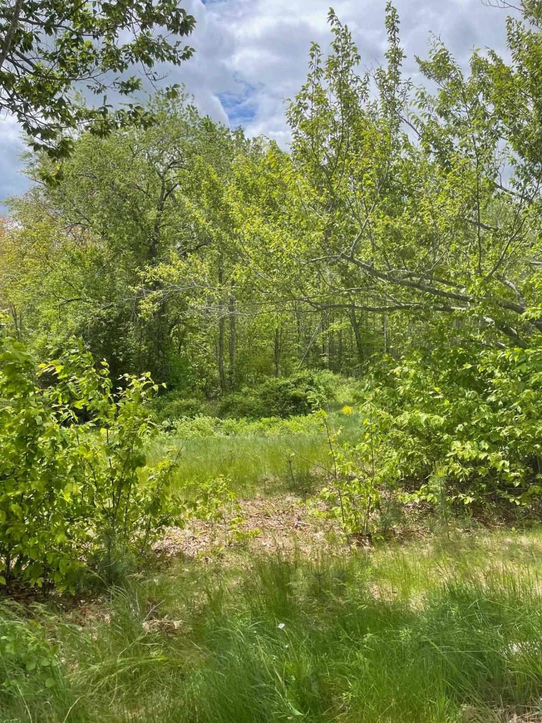 5.00 Acres at 00 Lovell Road