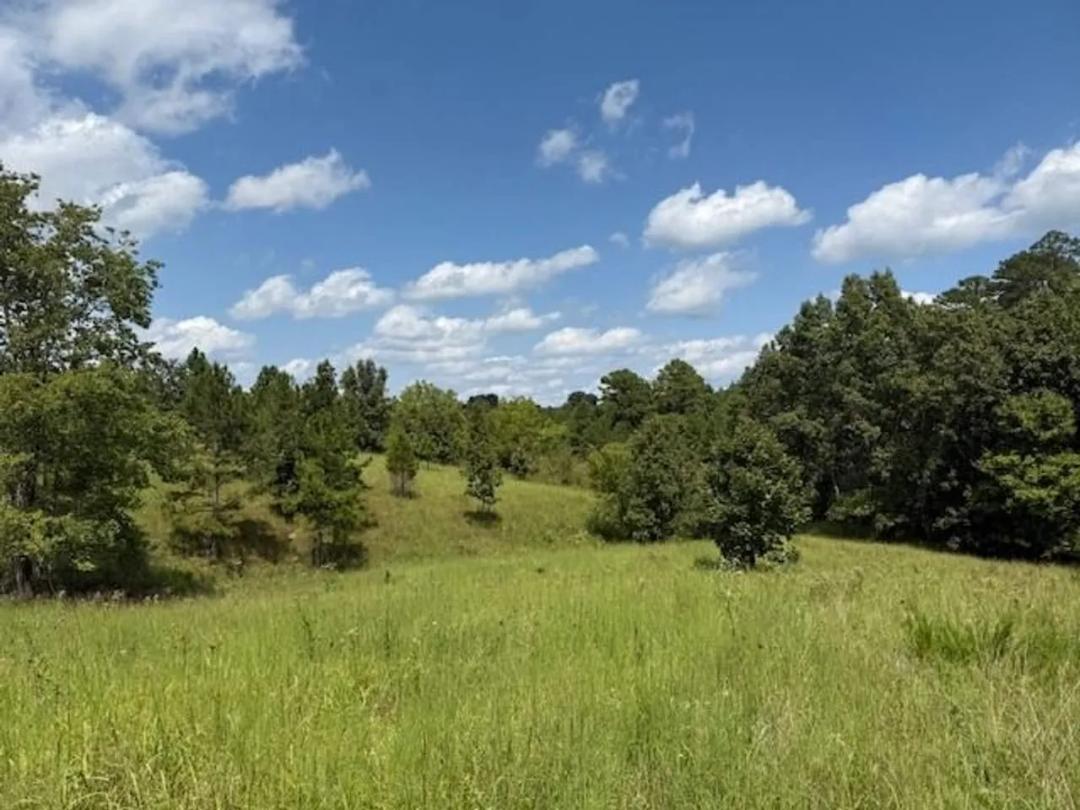 233 Acres, Barn, Drilled Well, Private, Shannon County 