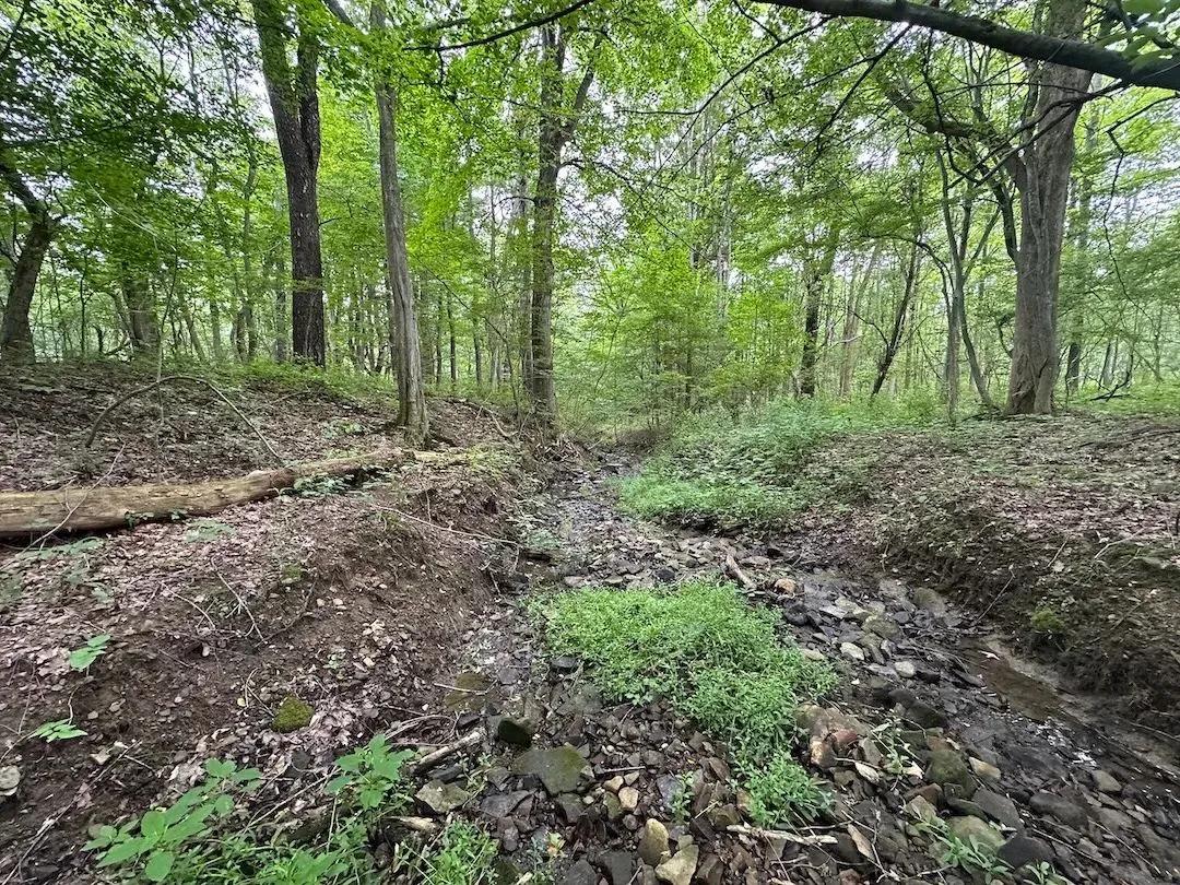 5 acres Hunting Land and Recreational Land with Stream and Owner Financing near State Land in Granger NY Flat Iron Rd Lot 2