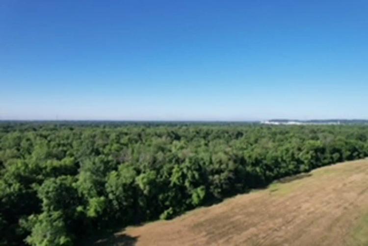 Land For Sale in Spencer County, IN 80 Acres+/- South Tract