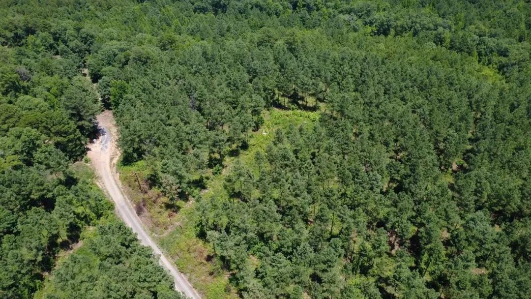 4.3 Acres Near Hochatown | Private Mountain Setting & Cabin Potential