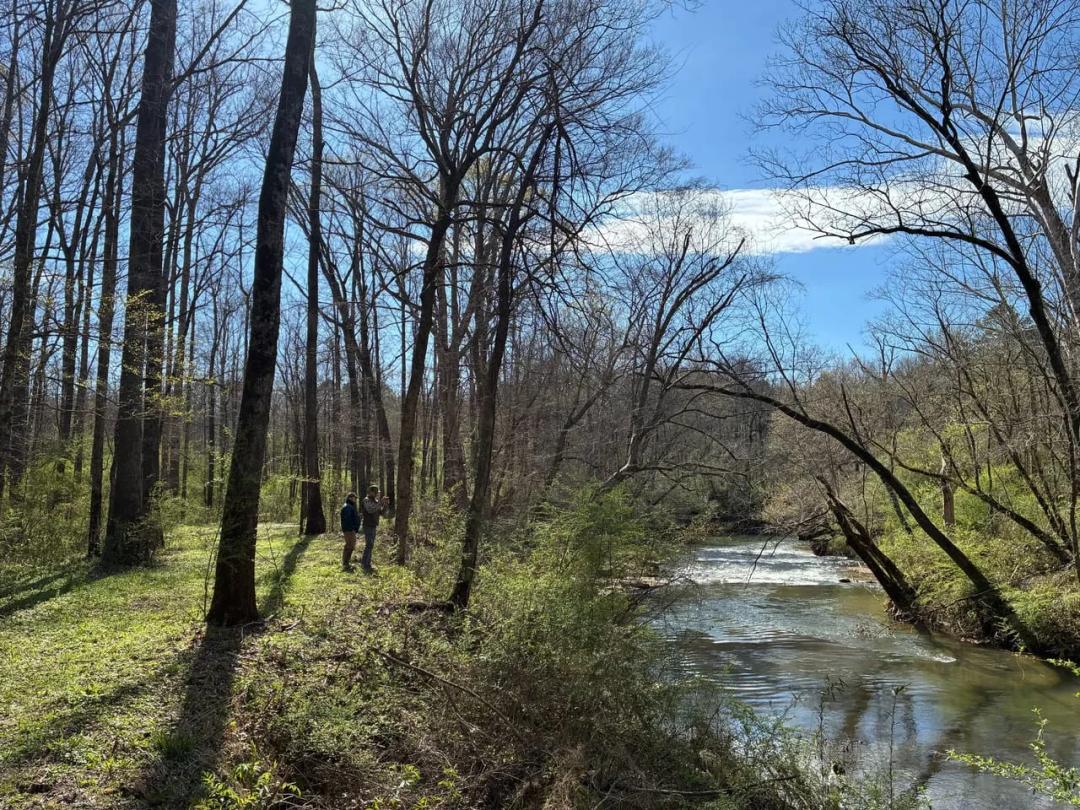 158 acres  Brookside Jefferson Co., AL  