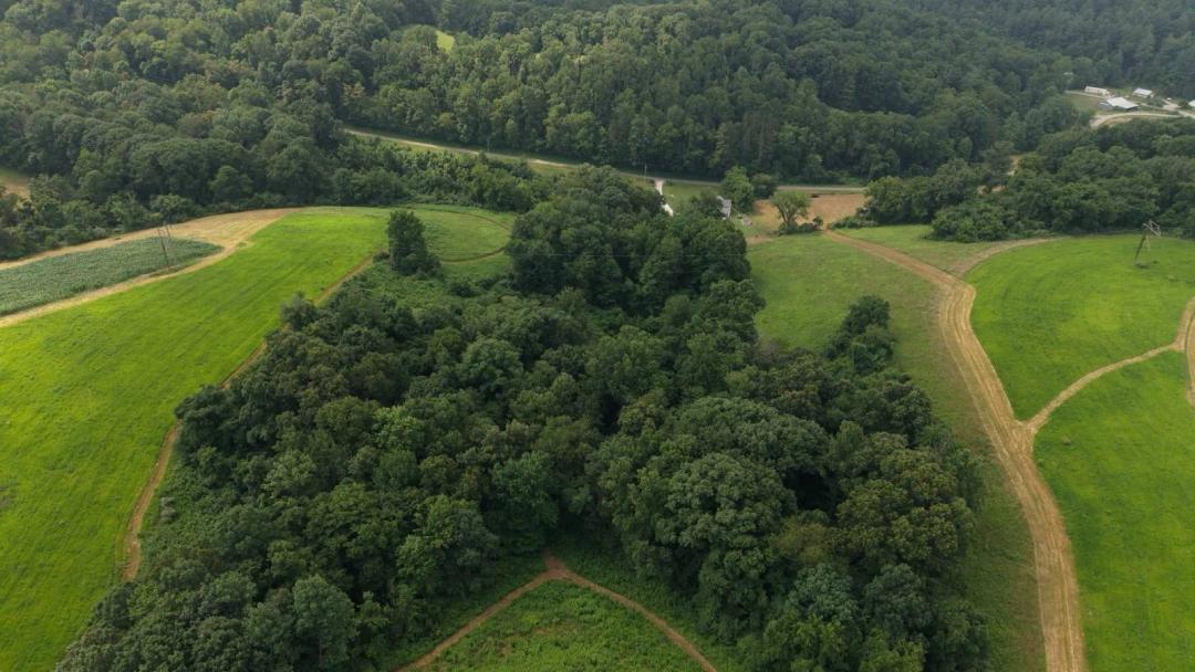 Coshocton County Ohio Land for Sale | 43 Acres