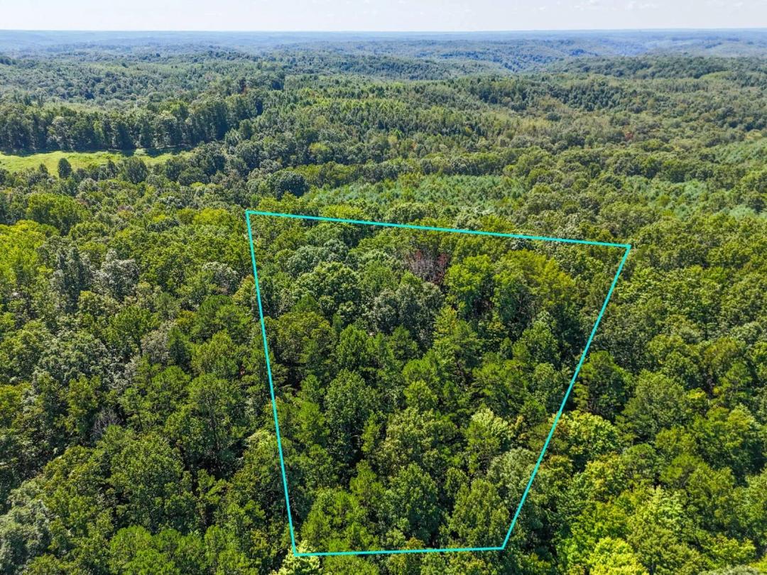Rural Ohio Wooded Build Site